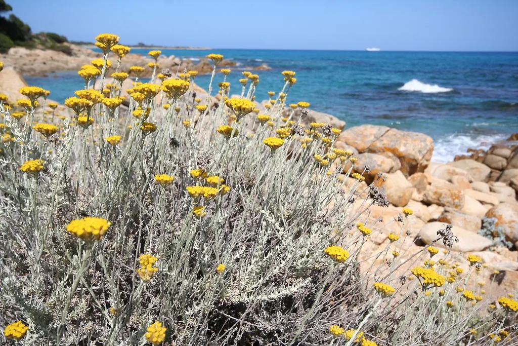 Bed & Breakfast Villa La Conchiglia Rooms Cala Liberotto